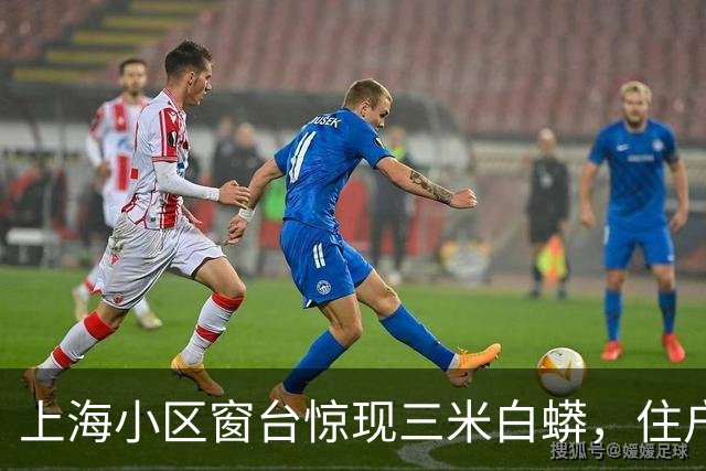上海小区窗台惊现三米白蟒，住户瞬间联想到白素贞