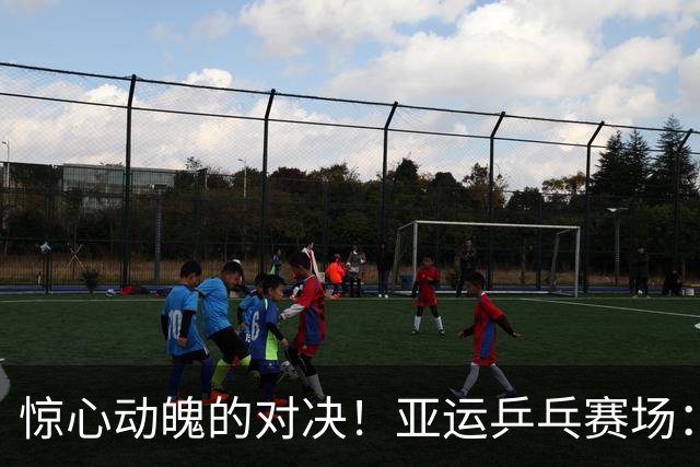 惊心动魄的对决！亚运乒乓赛场：21岁林诗栋逆转夺胜，王楚钦迎来强敌挑战